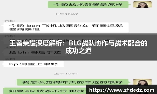 王者荣耀深度解析：BLG战队协作与战术配合的成功之道