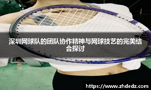 深圳网球队的团队协作精神与网球技艺的完美结合探讨